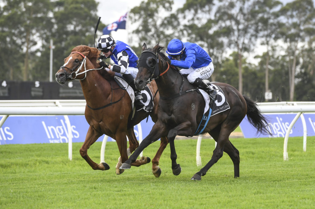 GAULOIS_4_WF_12022020__B1631 | Just Horse Racing