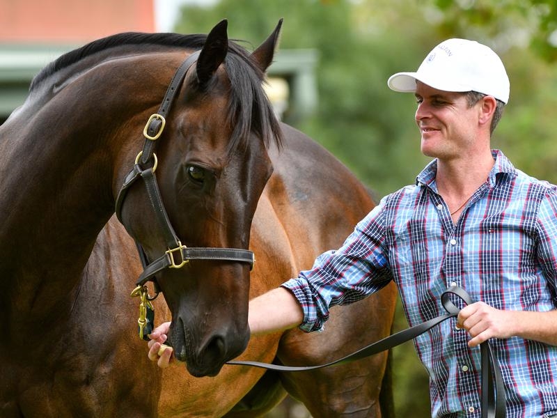Gallops Caviar | Just Horse Racing