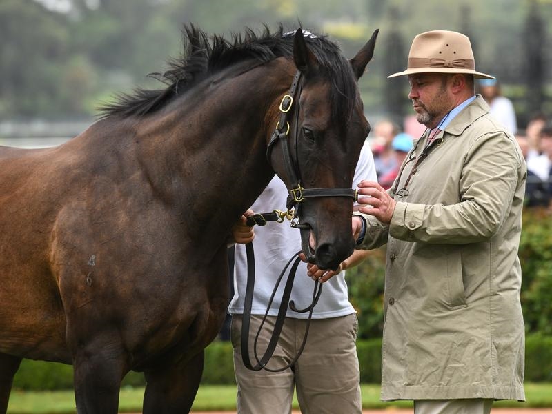 Gallops Caviar | Just Horse Racing