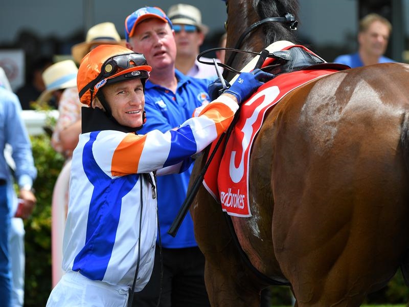 Gallops Currie | Just Horse Racing