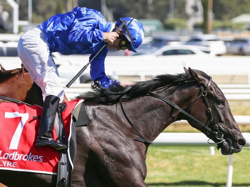 Gallops Diamond | Just Horse Racing