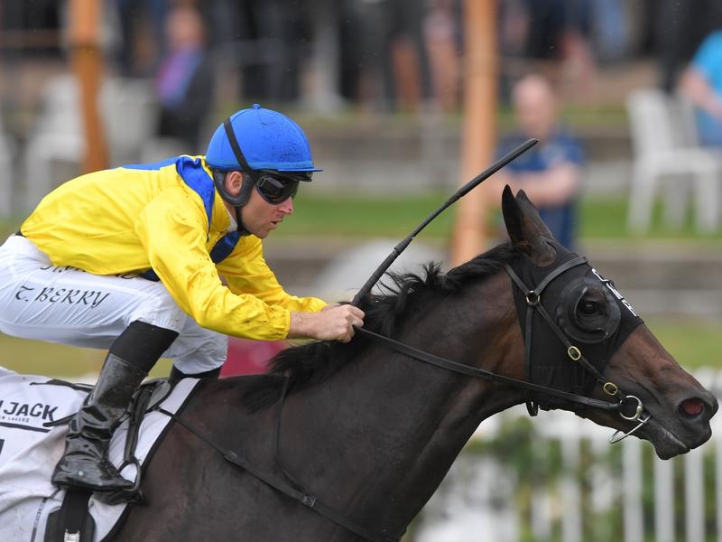 Gallops Millennium | Just Horse Racing