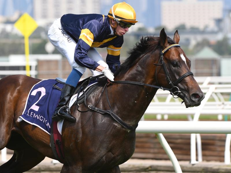 Gallops Orr | Just Horse Racing