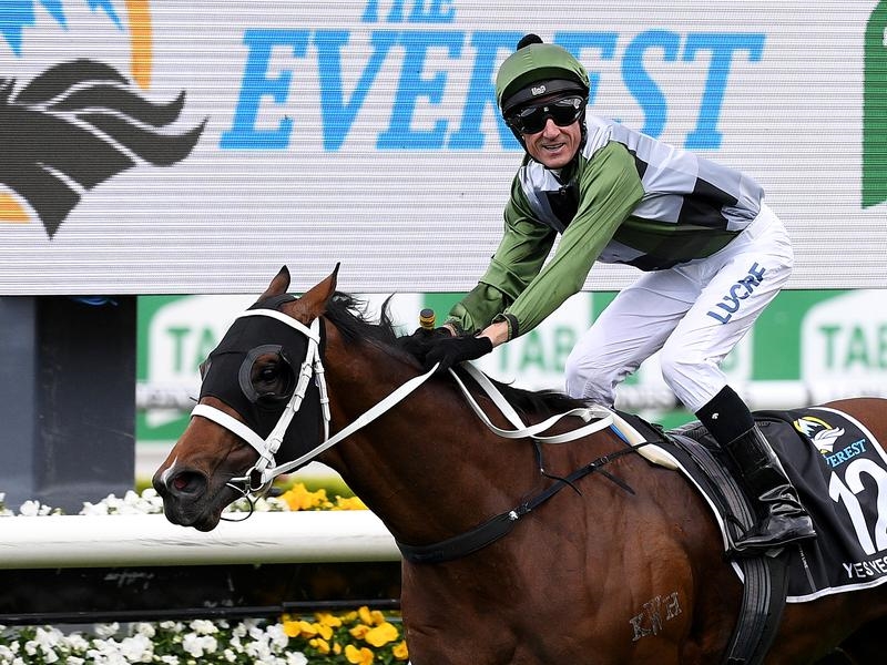 Gallops Waller | Just Horse Racing