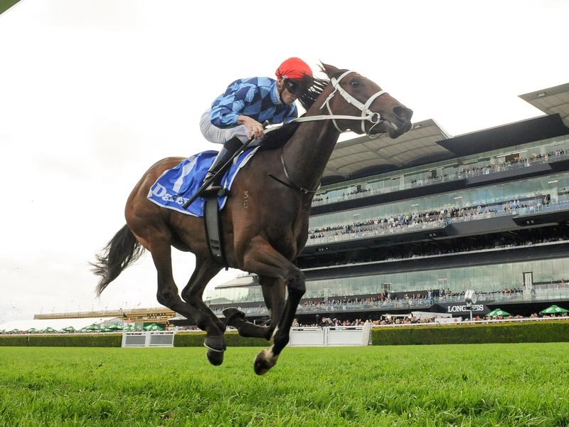Gallops Waller | Just Horse Racing
