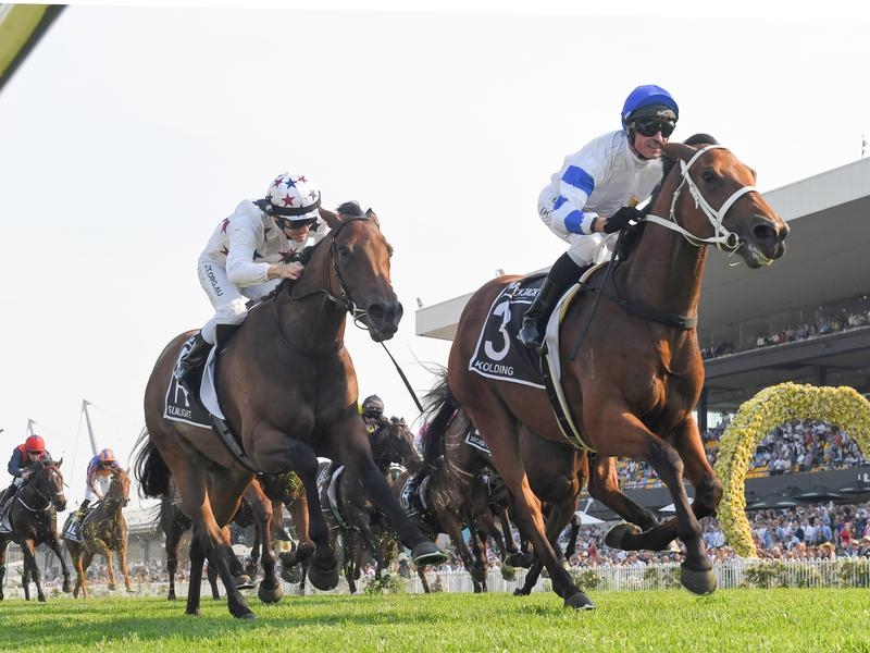 Gallops Waller | Just Horse Racing