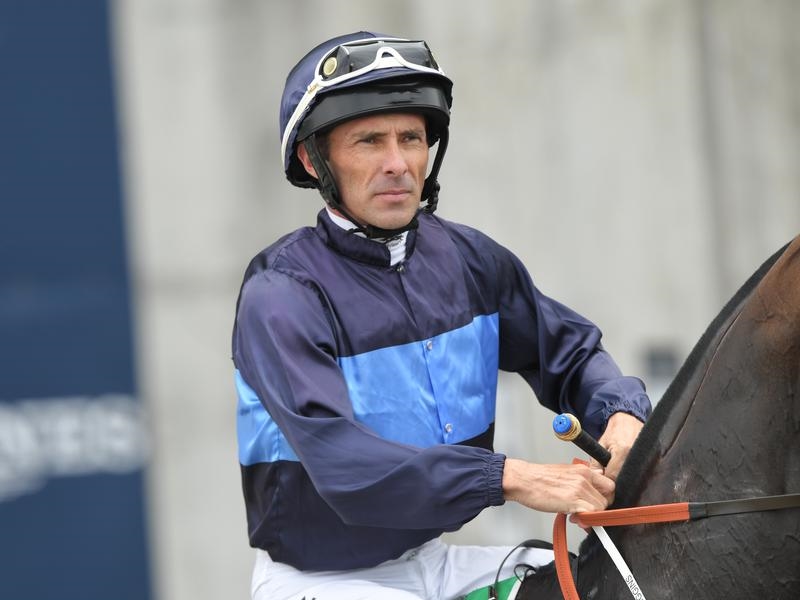Gallops Whiteley | Just Horse Racing