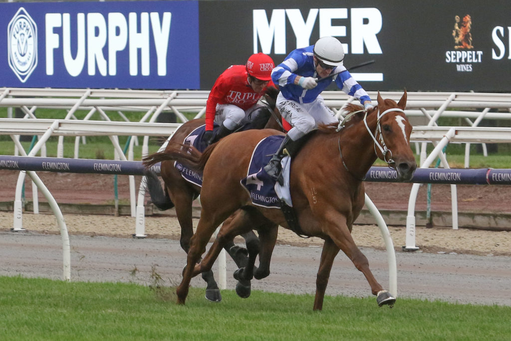 Gytrash,Black Caviar Lightning Stakes,Group 1_15-02-2020_WIN_Flemington_7__119 | Just Horse Racing