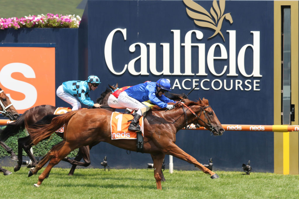 Hanseatic,Blue Diamond Prelude (colts),Group 3_08-02-2020_WIN_Caulfield_4__814 | Just Horse Racing