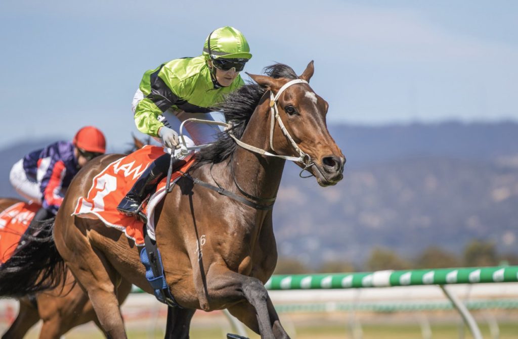 Hasta La War | Just Horse Racing