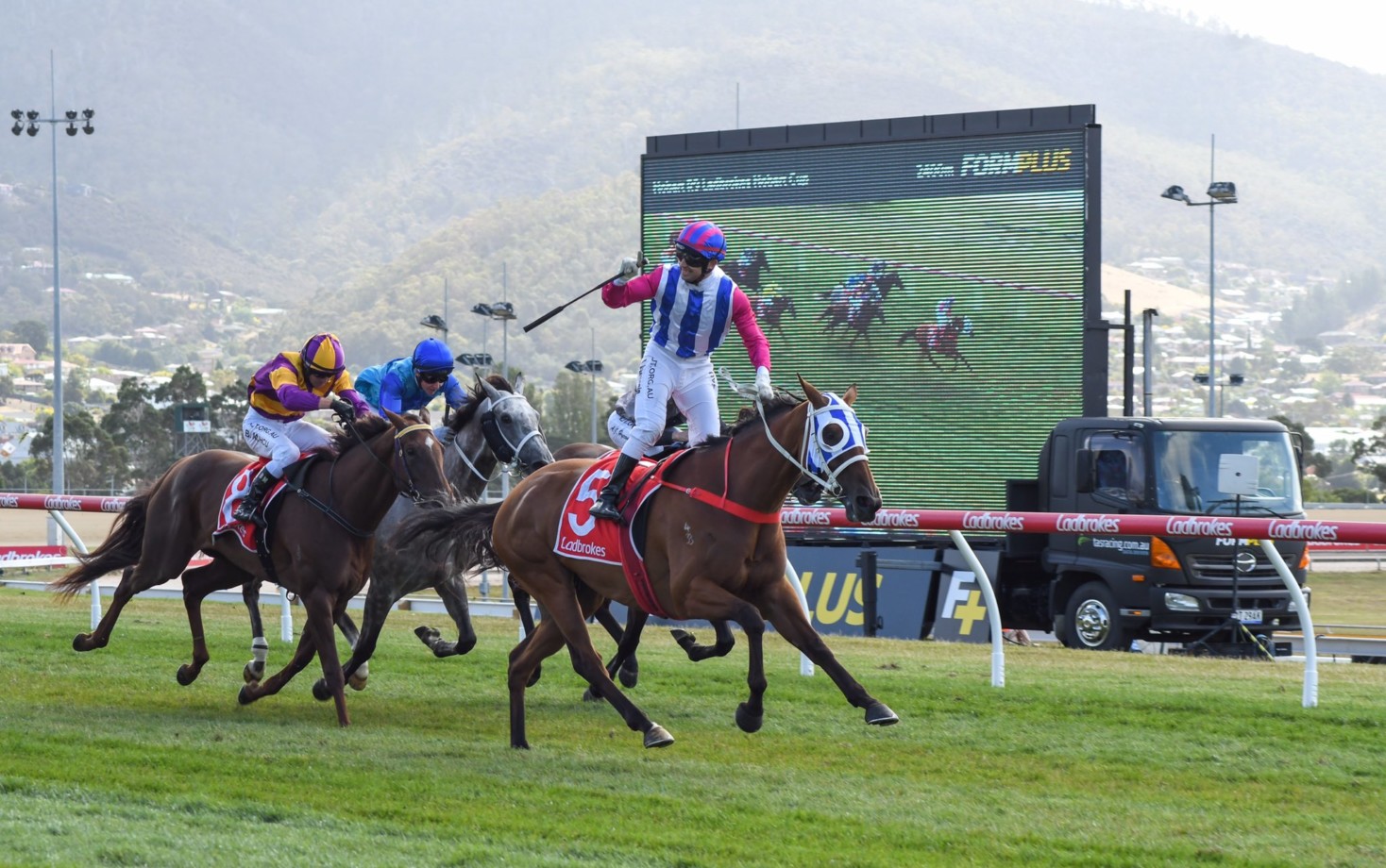 Hobart Cup blunder sparks sweeping review after race run short | Just ...