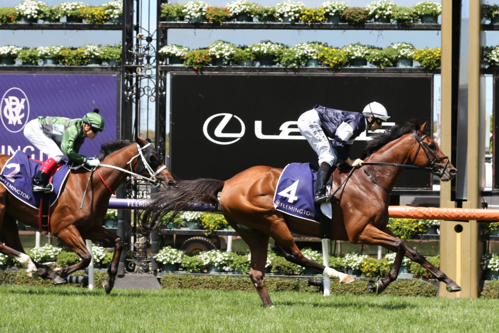 King Of Leogrance_29-02-2020_WIN_Flemington_2__178 | Just Horse Racing
