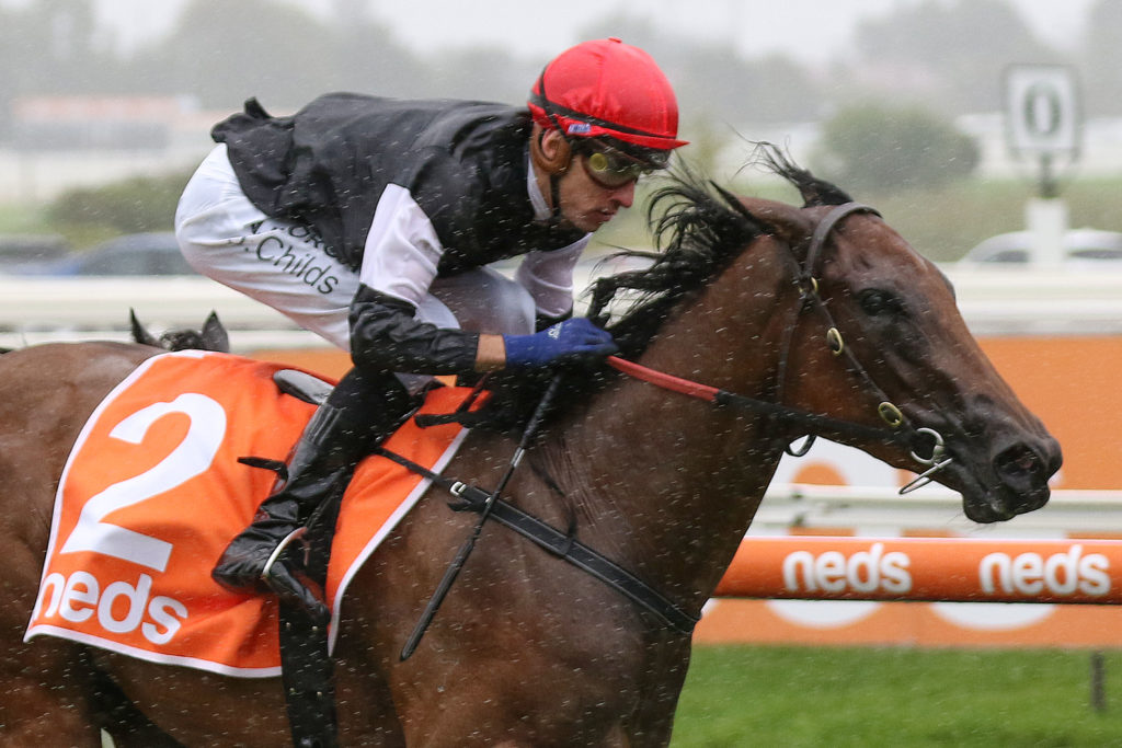 Mildred,Chairman's Stakes,Group 3_01-02-2020_WIN_Caulfield_5__765 | Just Horse Racing