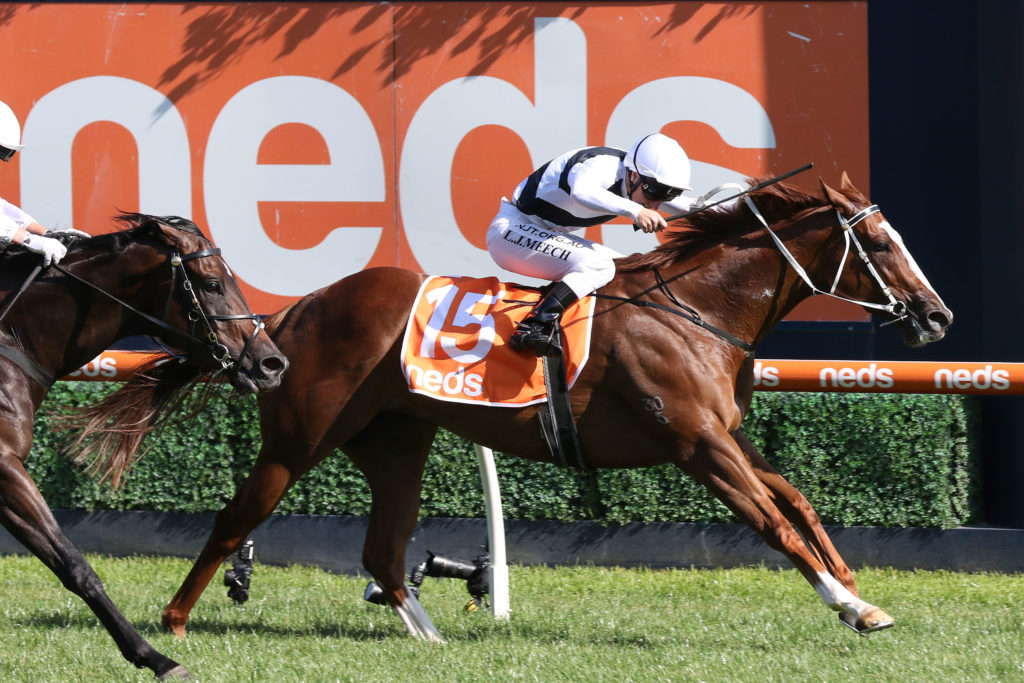 Pippie 1E1A1252 | Just Horse Racing