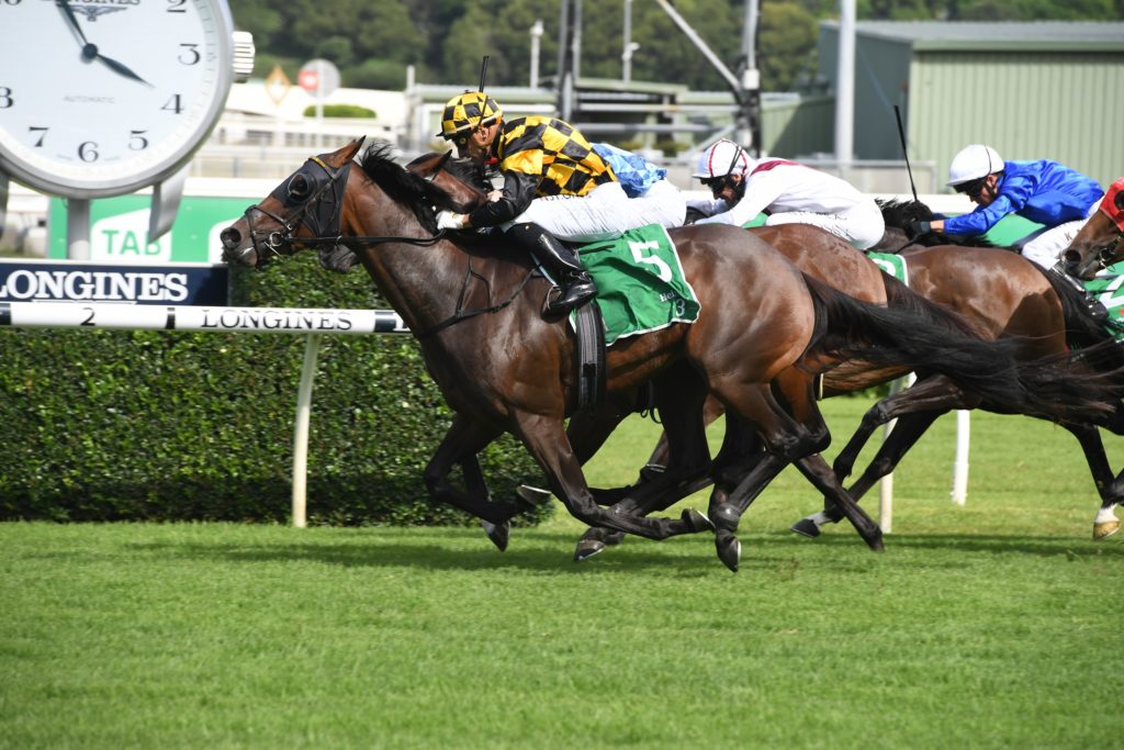 Probabeel 29022020 9920 | Just Horse Racing