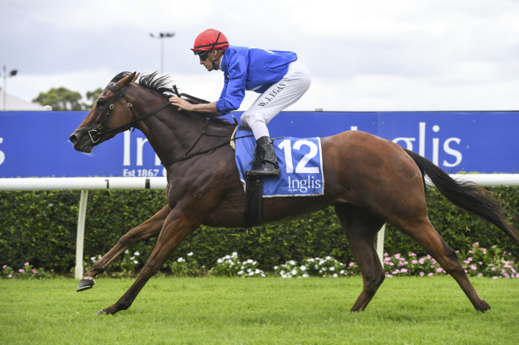 RUBISAKI_3_WF_12022020__B1417 | Just Horse Racing