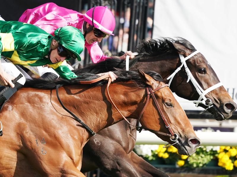 Randwick Akari | Just Horse Racing