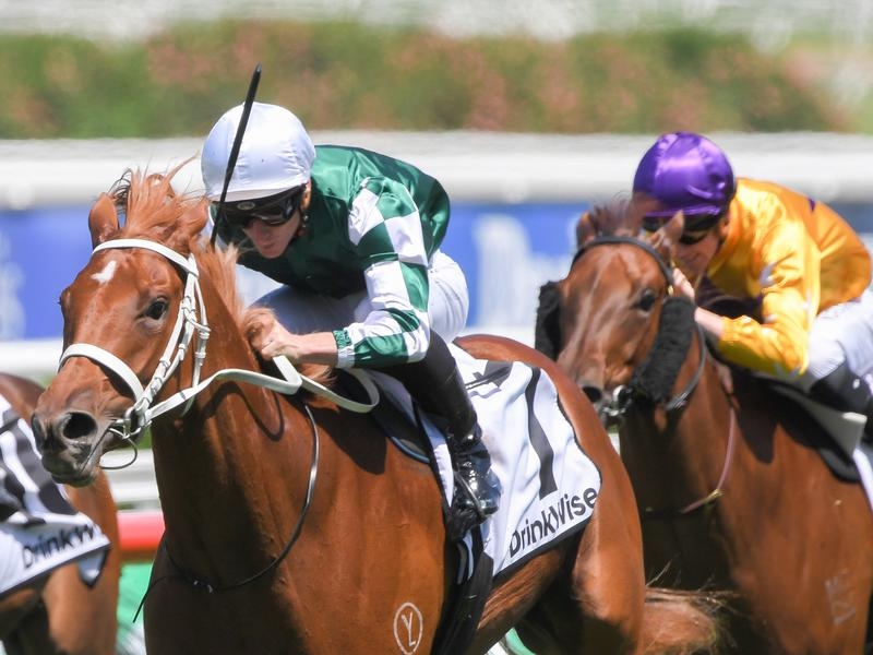Randwick Heart | Just Horse Racing