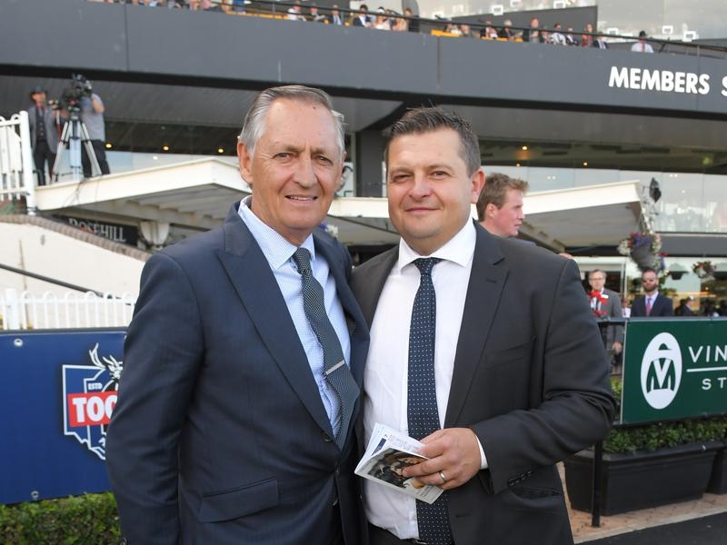 Randwick Juveniles | Just Horse Racing