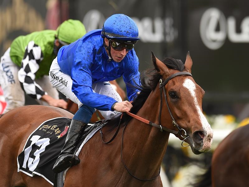 Randwick Pohutukawa | Just Horse Racing