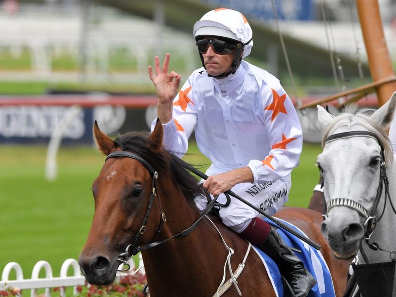 Rosehill Farnan | Just Horse Racing