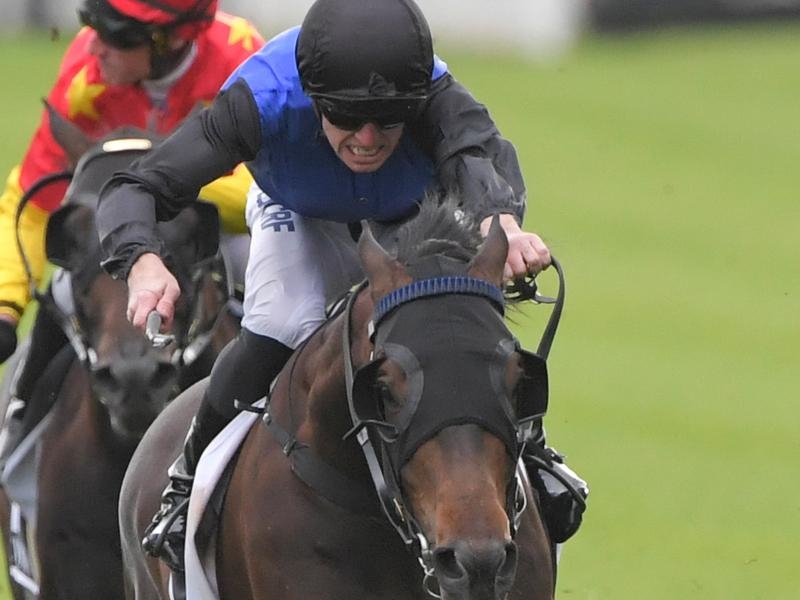 Rosehill Preview | Just Horse Racing