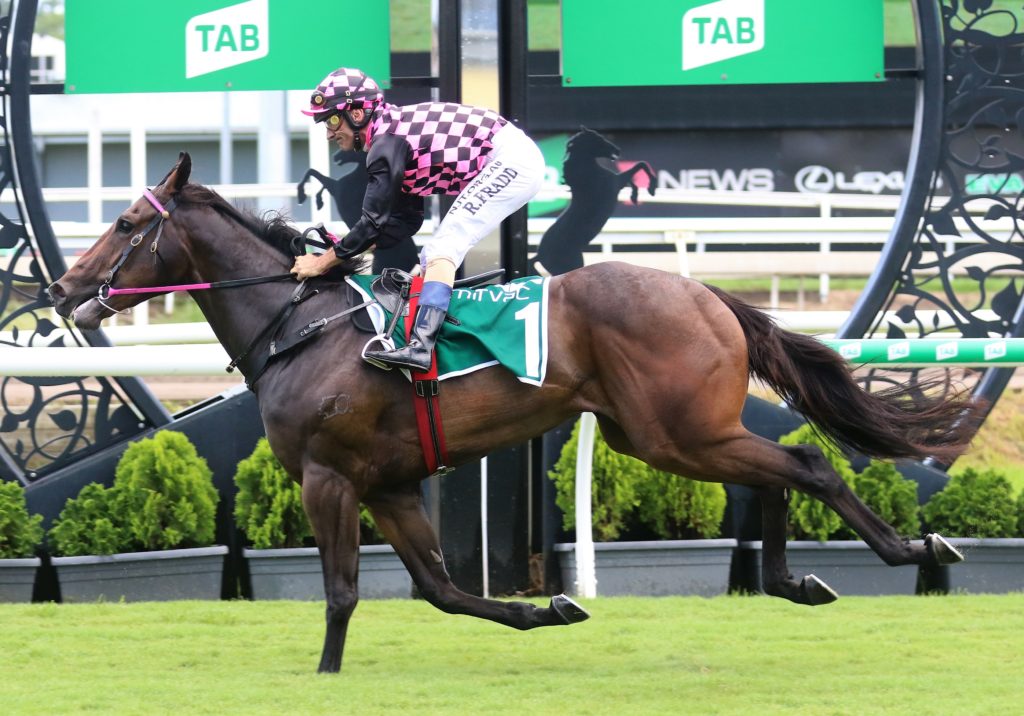 Rothfire (1) | Just Horse Racing
