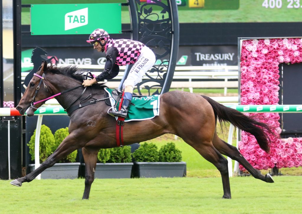 Rothfire (2) | Just Horse Racing