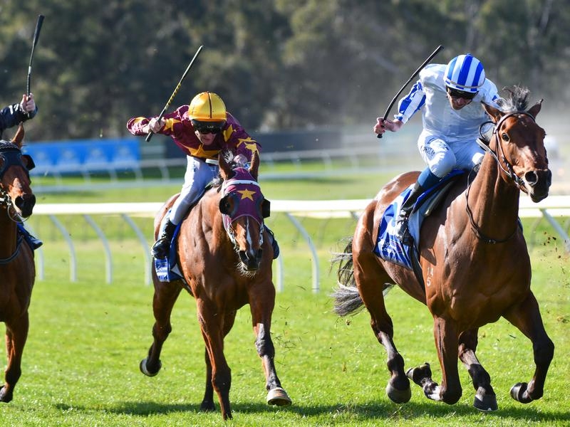 Sandown Preview | Just Horse Racing