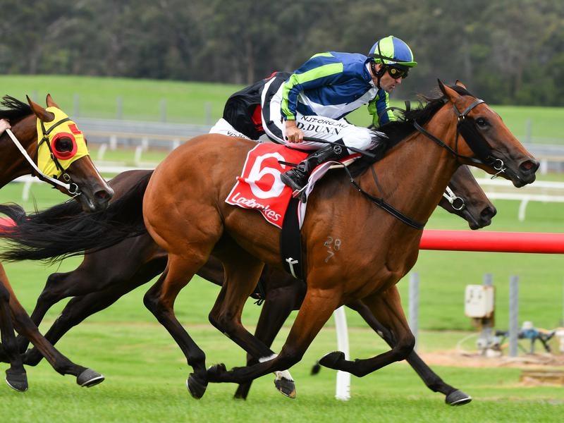 Sandown Wrap | Just Horse Racing