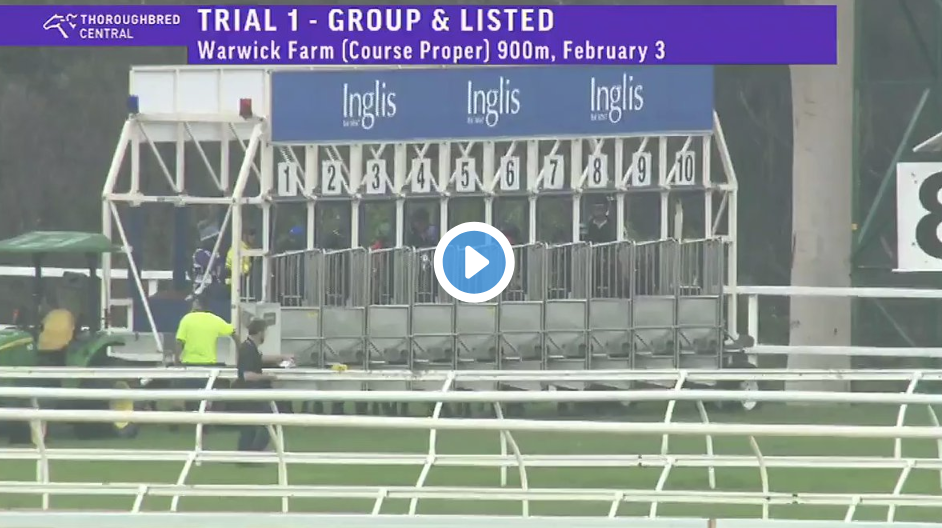 Screen Shot 2020-02-03 at 6.28.18 pm | Just Horse Racing