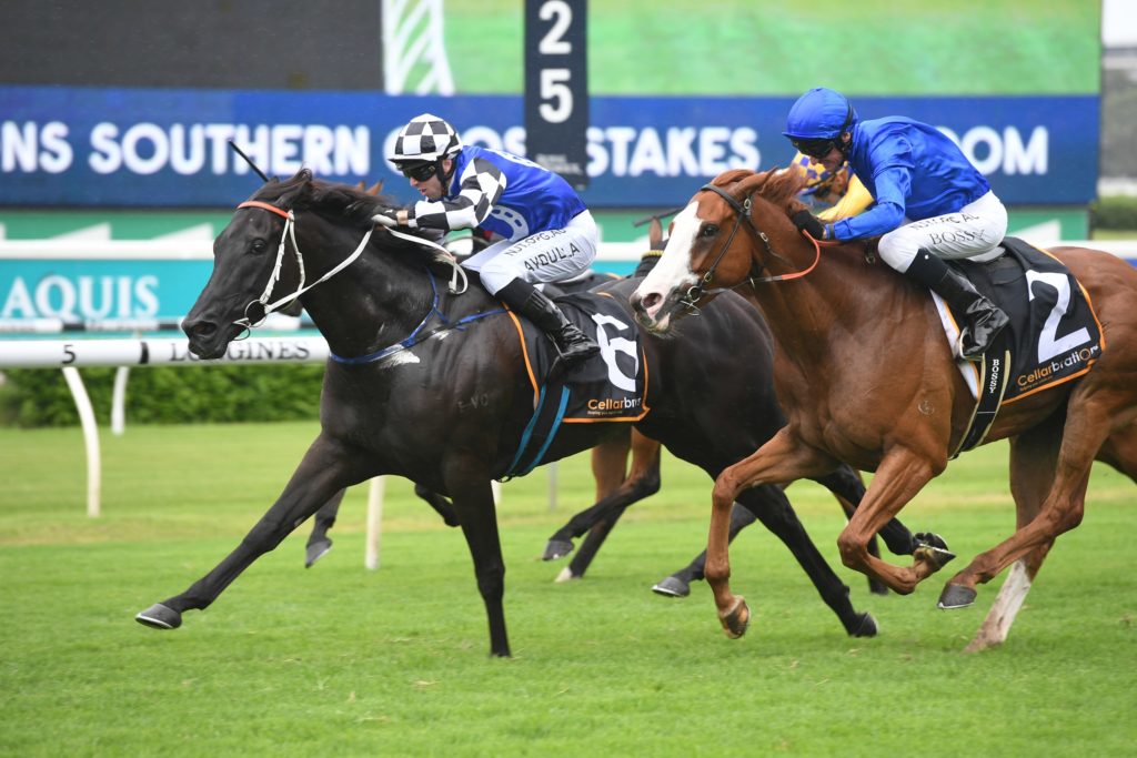 Special Reward 15022020 4890 | Just Horse Racing