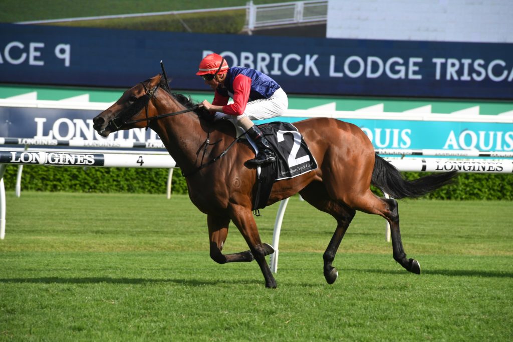 Sweet Deal 15022020 5505 | Just Horse Racing