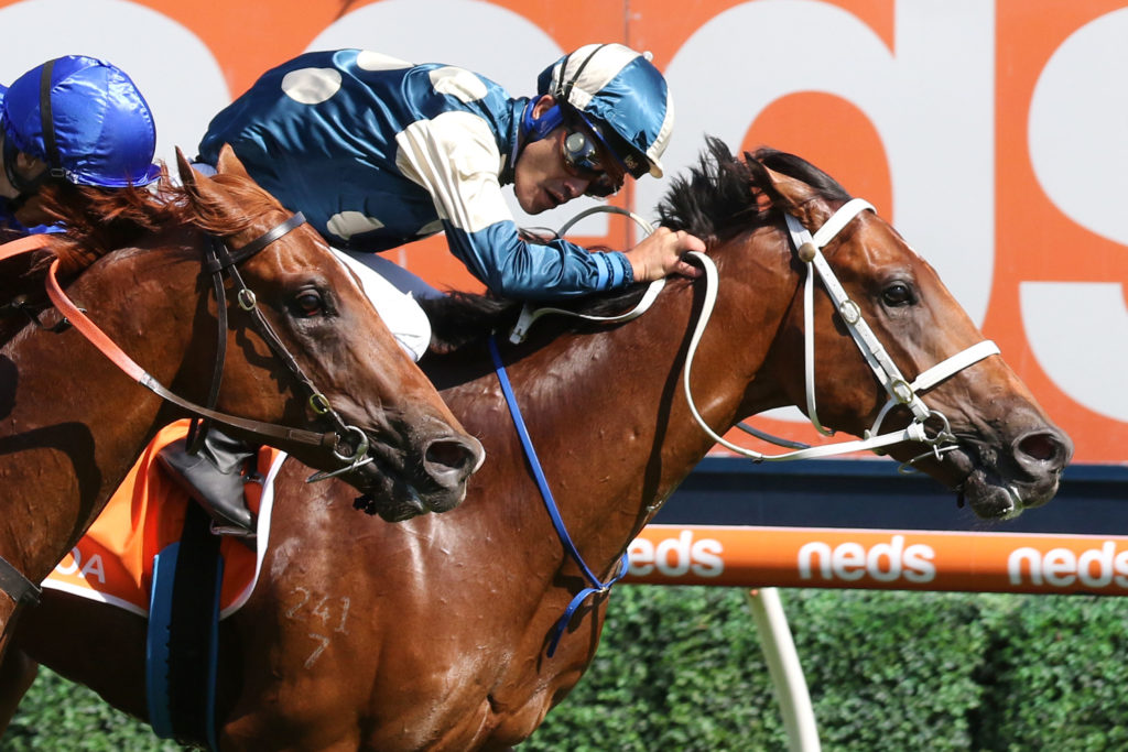 Tagaloa 1E1A1049 | Just Horse Racing