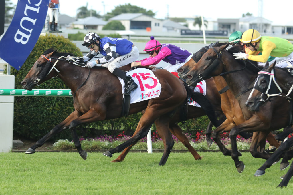 WANDABAA062A6352 | Just Horse Racing