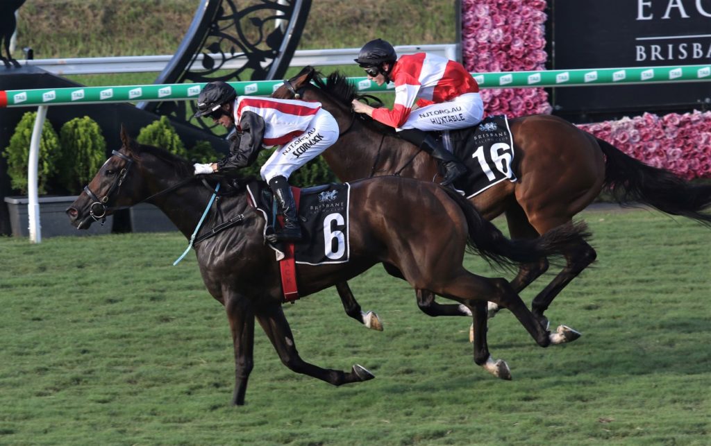 eagle farm race 8 Stampe 1 | Just Horse Racing