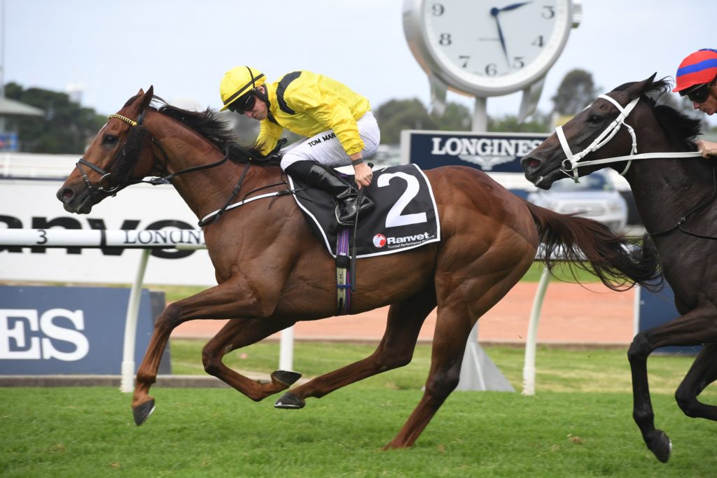 Addeybb 21032020 5064 | Just Horse Racing