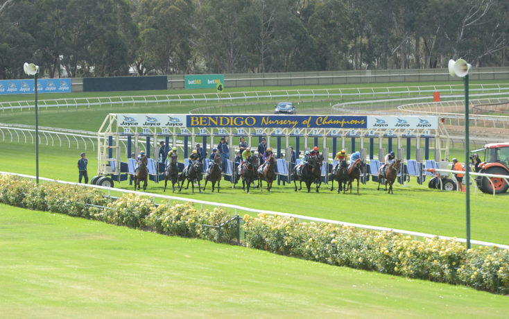 Bendigo races