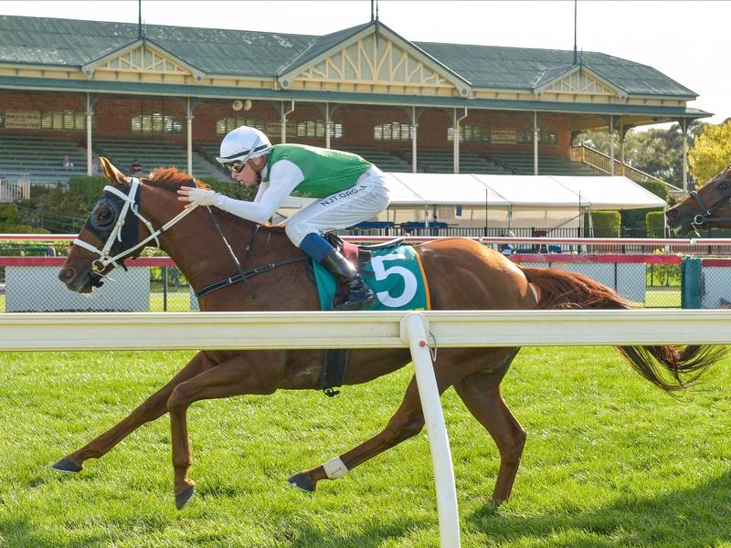 Bendigo | Just Horse Racing