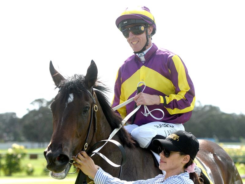 Bendigo Swats | Just Horse Racing