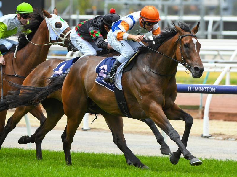Caulfield Prelude | Just Horse Racing