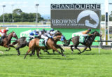 Cranbourne Races