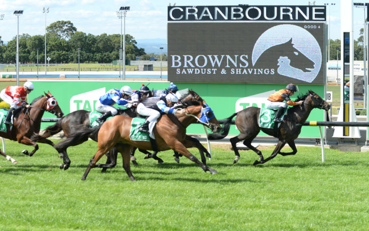 Cranbourne Races