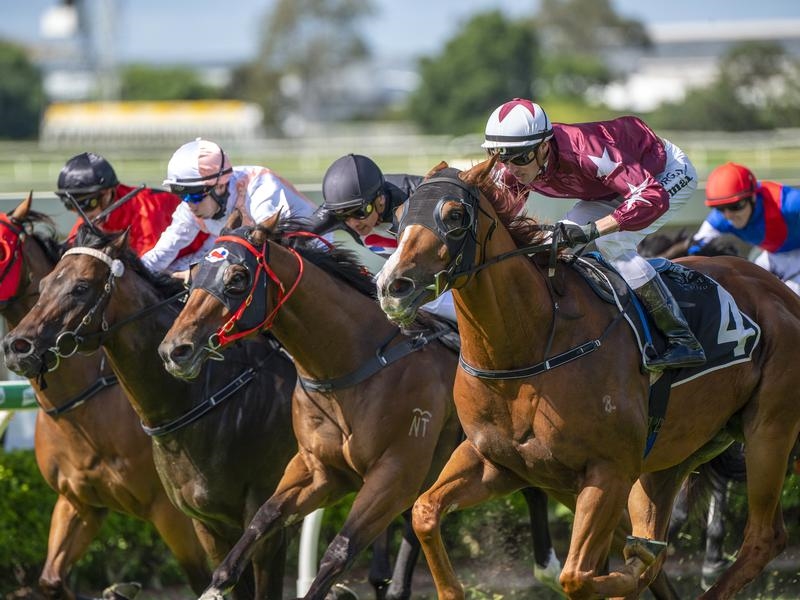 Doomben | Just Horse Racing