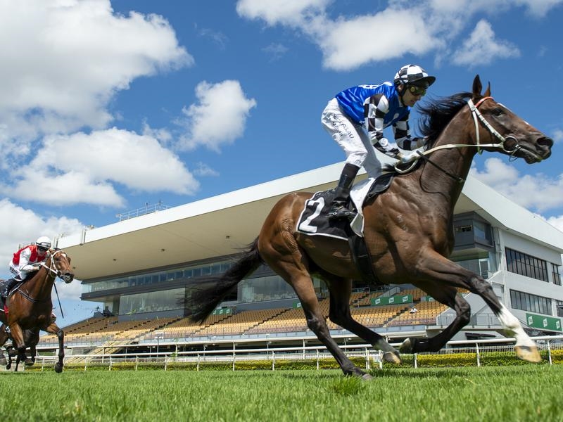 Doomben Lees | Just Horse Racing