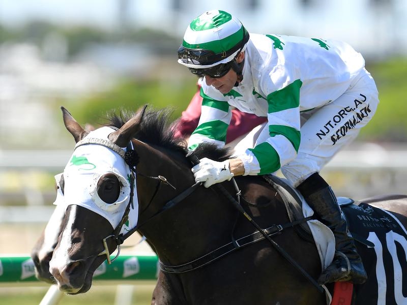 Eagle Farm Lockwood | Just Horse Racing