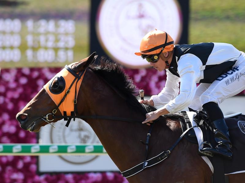 Eagle Farm Michelin | Just Horse Racing