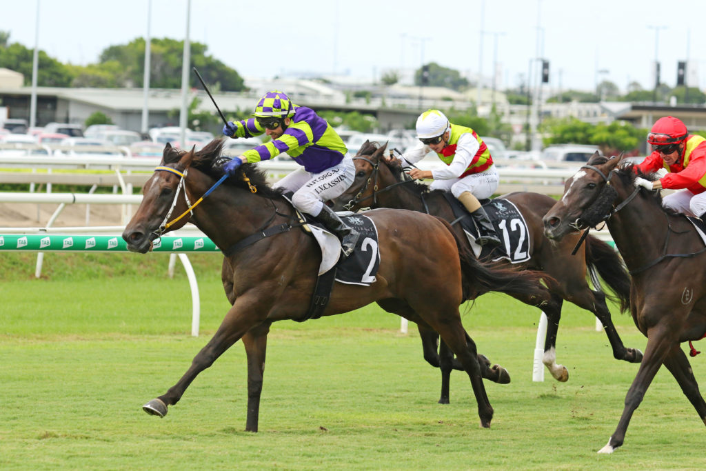 FORTIFICATION 062A7461 | Just Horse Racing