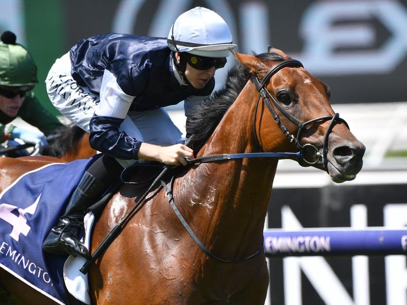 Gallops Adelaide | Just Horse Racing