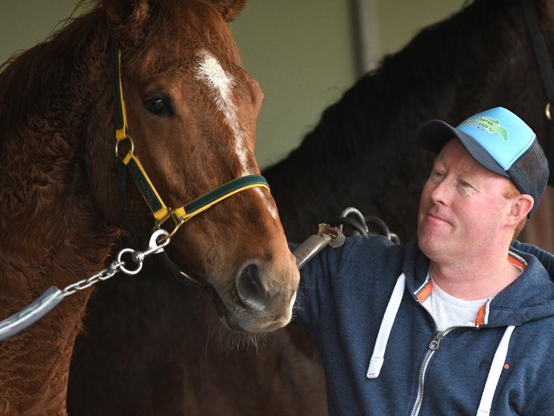 Gallops Bendigo | Just Horse Racing